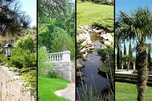 LD Group Landscape design
