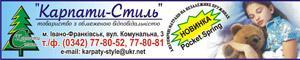 LLC Karpaty-Style