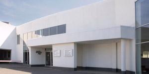 Fully functional franchise dealership