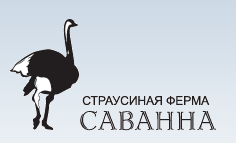 Ostrich farm SAVANNA