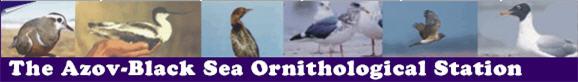 The Azov-Black Sea Ornithological Station