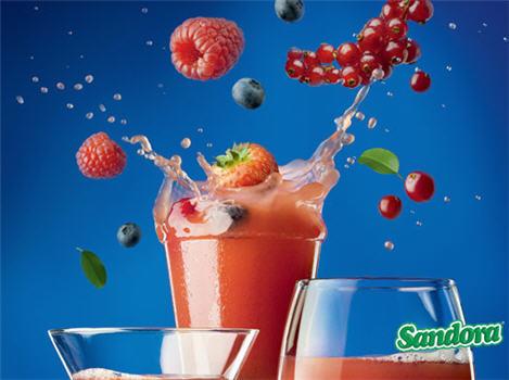 Sandora Ltd