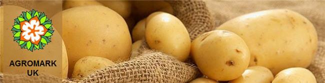 LLC Agromark UK