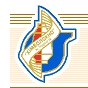 Chernigovskoye Khimvolokno