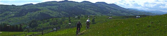 The BikeLand project