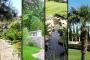 LD Group Landscape design
