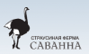 Ostrich farm SAVANNA