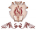 Ostroh Academy National University