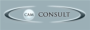 Cambridge Consulting