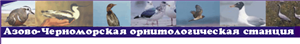 Азово-Черноморская орнитологическая станция (Азчерорнис)