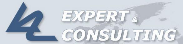 Expert & Consulting (E&C)