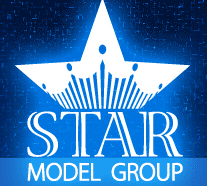 STAR model group
