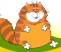 Интернет-магазин товаров для животных Рыжий Кот